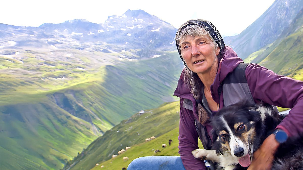 zwischen wolf und klimawandel - tiroler almen unter druck