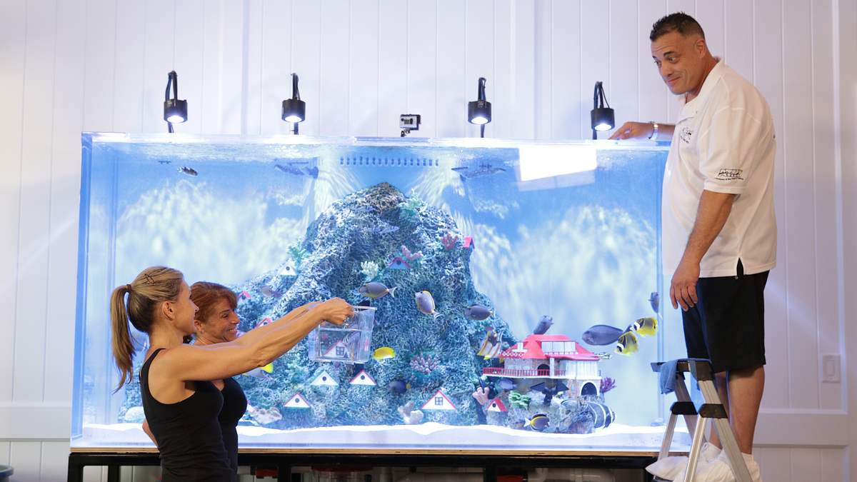 Die Aquarium-Profis die aquarium-profis