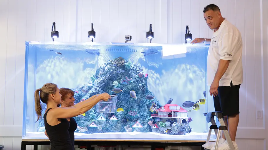 Die Aquarium-Profis die aquarium-profis