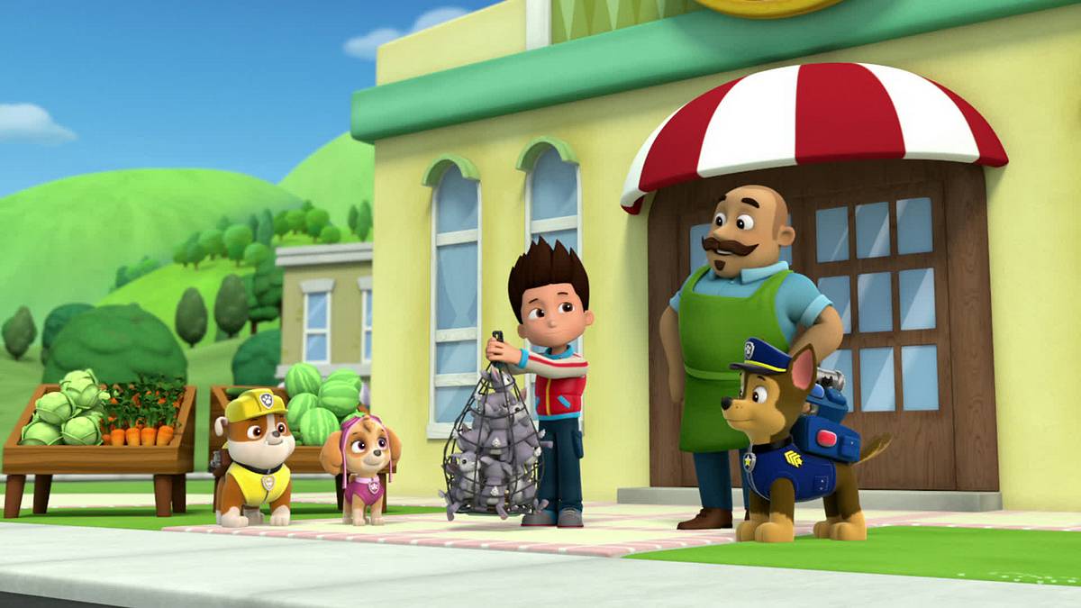 paw patrol - helfer auf vier pfoten