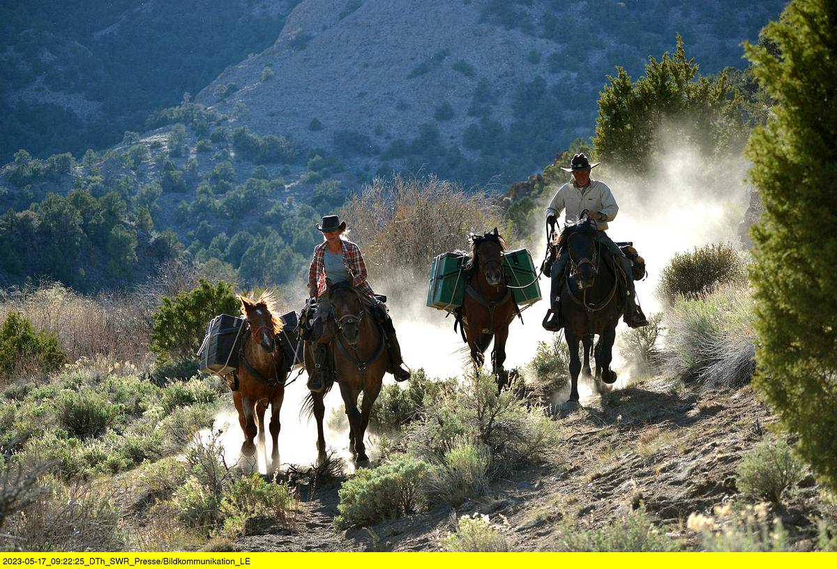 reiten ins abenteuer - mit vier mustangs durch den wilden westen
