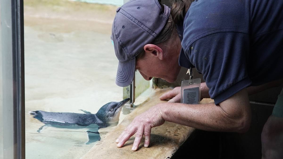 bronx zoo - tierpark der superlative