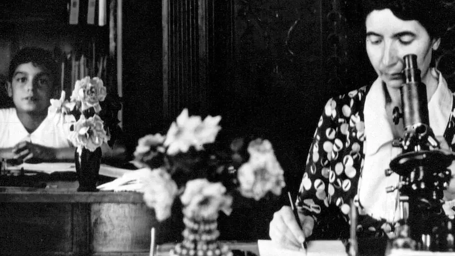 italo calvino, der schriftsteller auf den bäumen