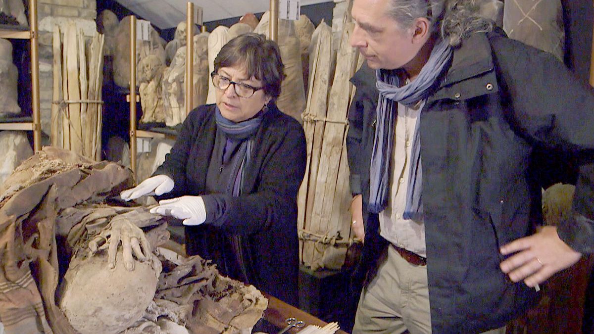 abenteuer archäologie