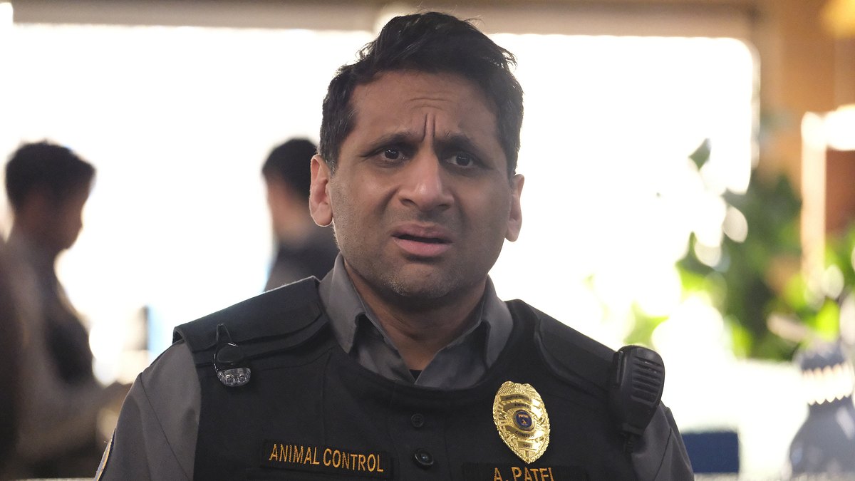 animal control