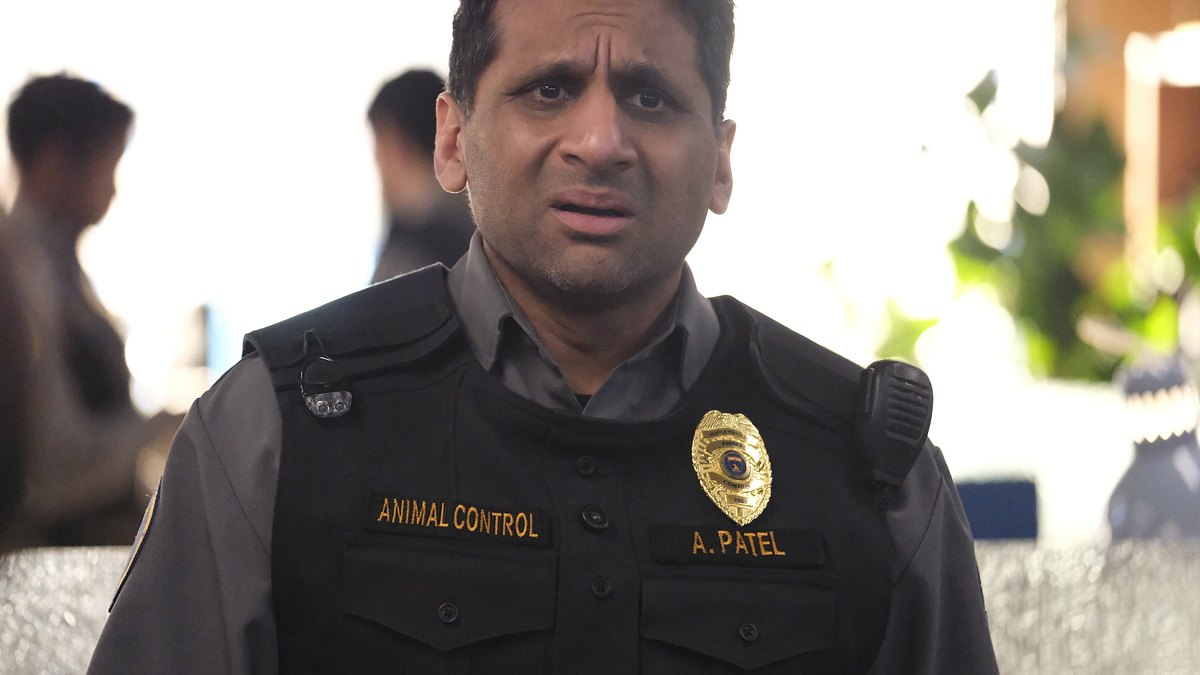animal control