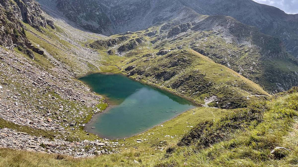 wilde schweiz