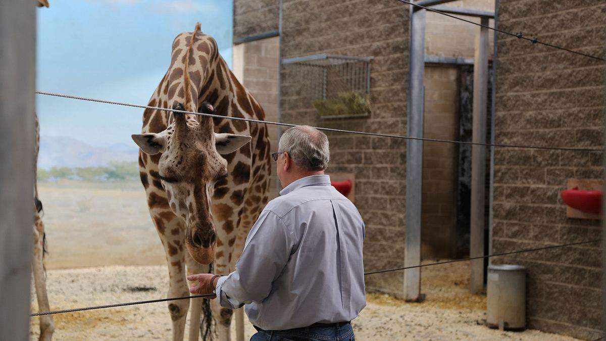 bronx zoo - tierpark der superlative