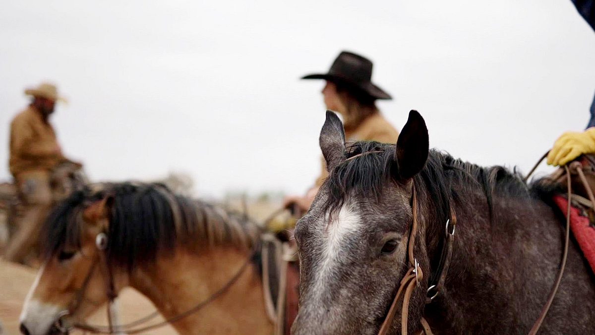 fremder stern texas - mehr als cowboys, öl und wilder westen