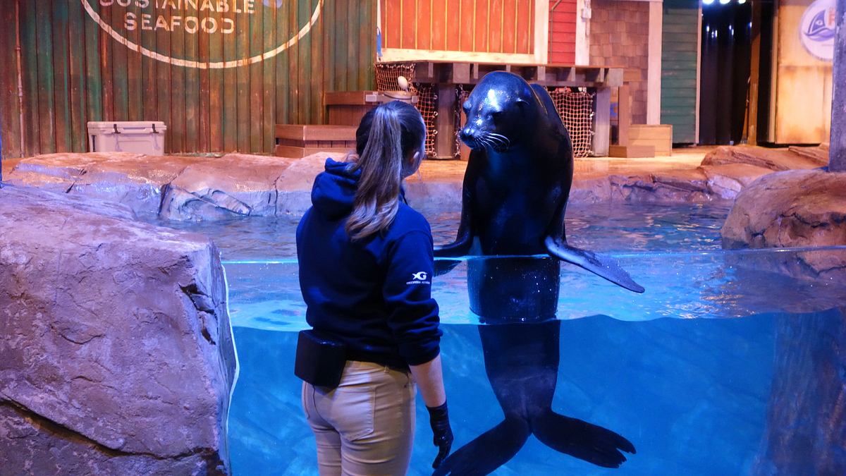 das atlanta-aquarium