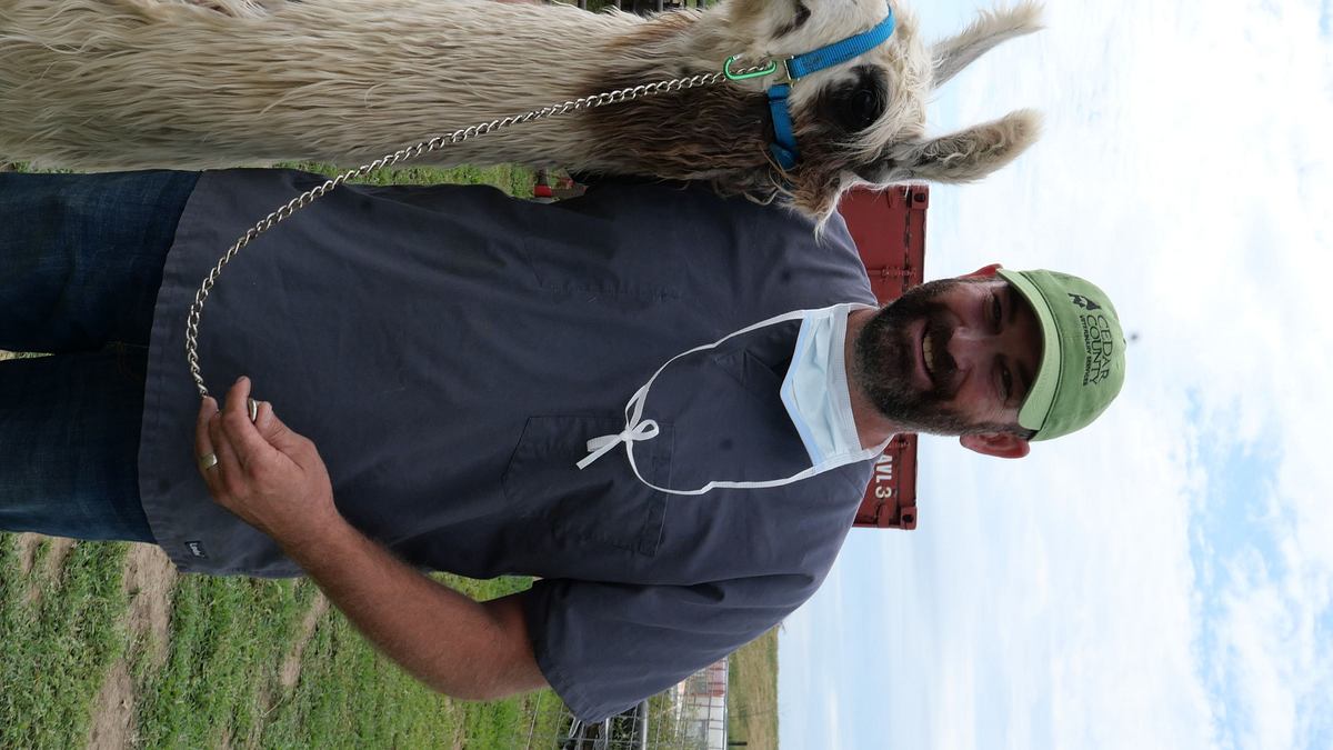 heartland docs - die tierarzt-familie