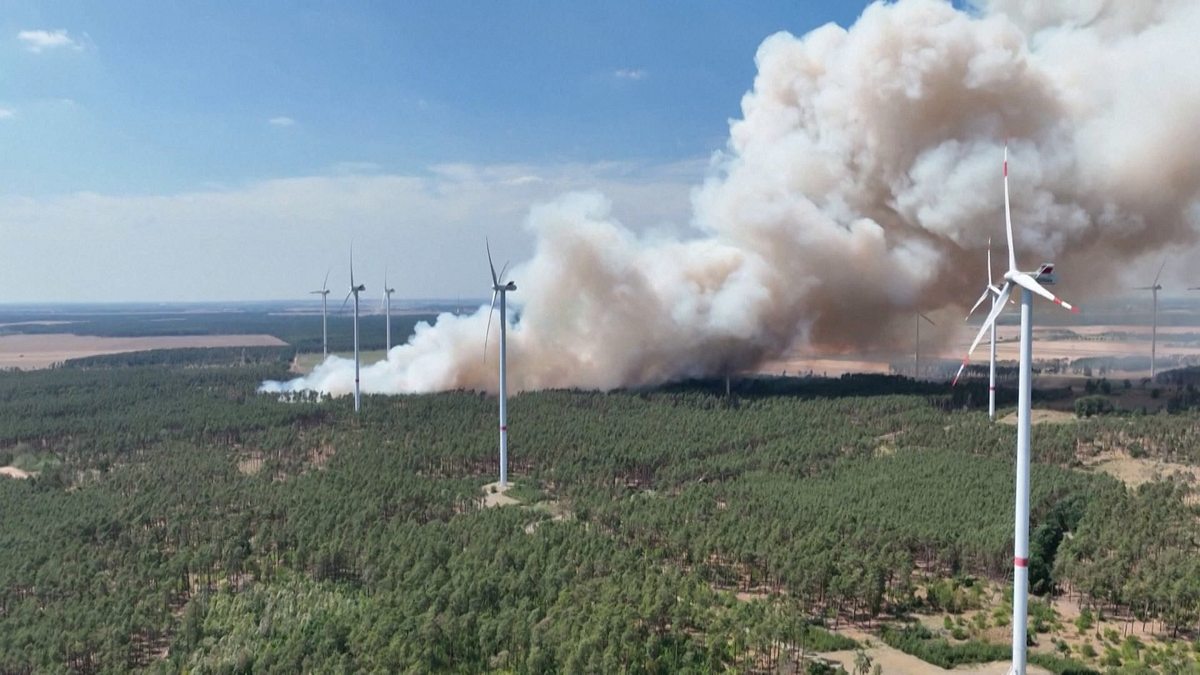 deutschlands wald im wandel