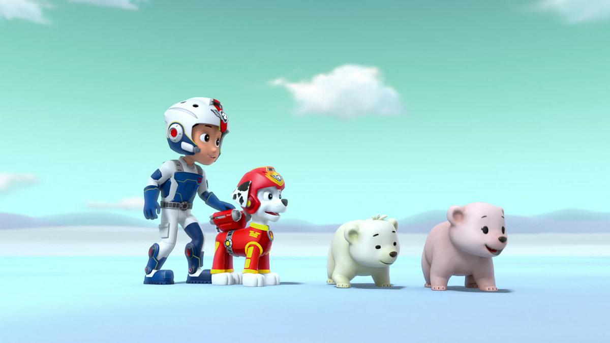 paw patrol - helfer auf vier pfoten