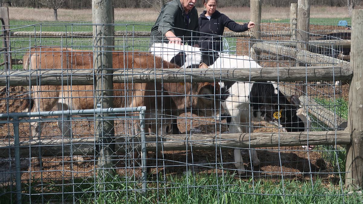 der unglaubliche dr. pol