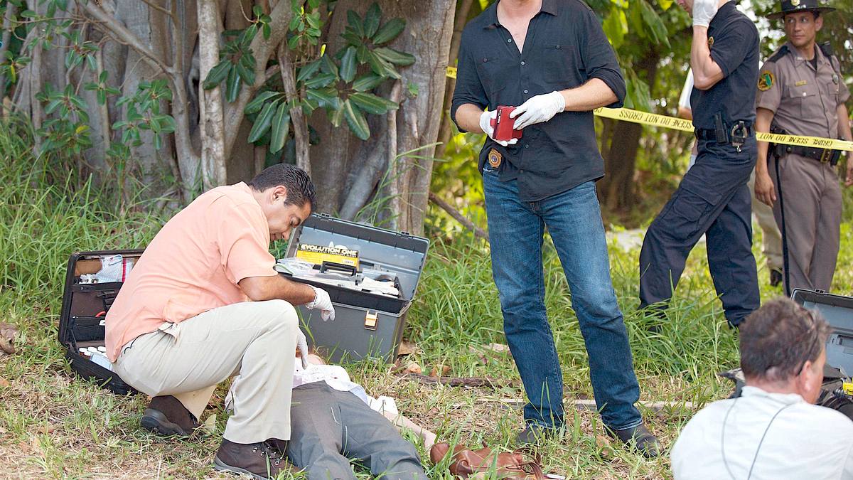 the glades
