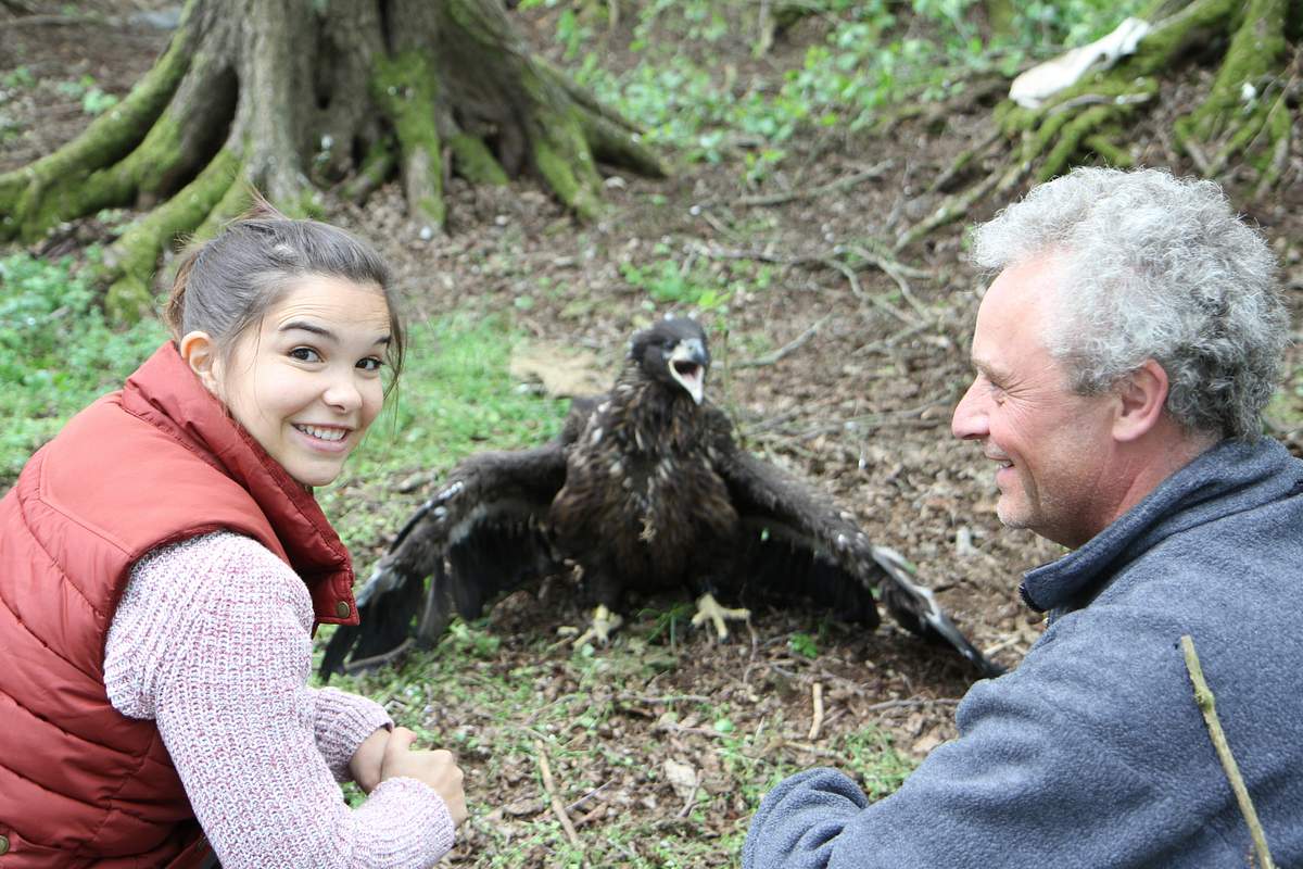 anna und die wilden tiere