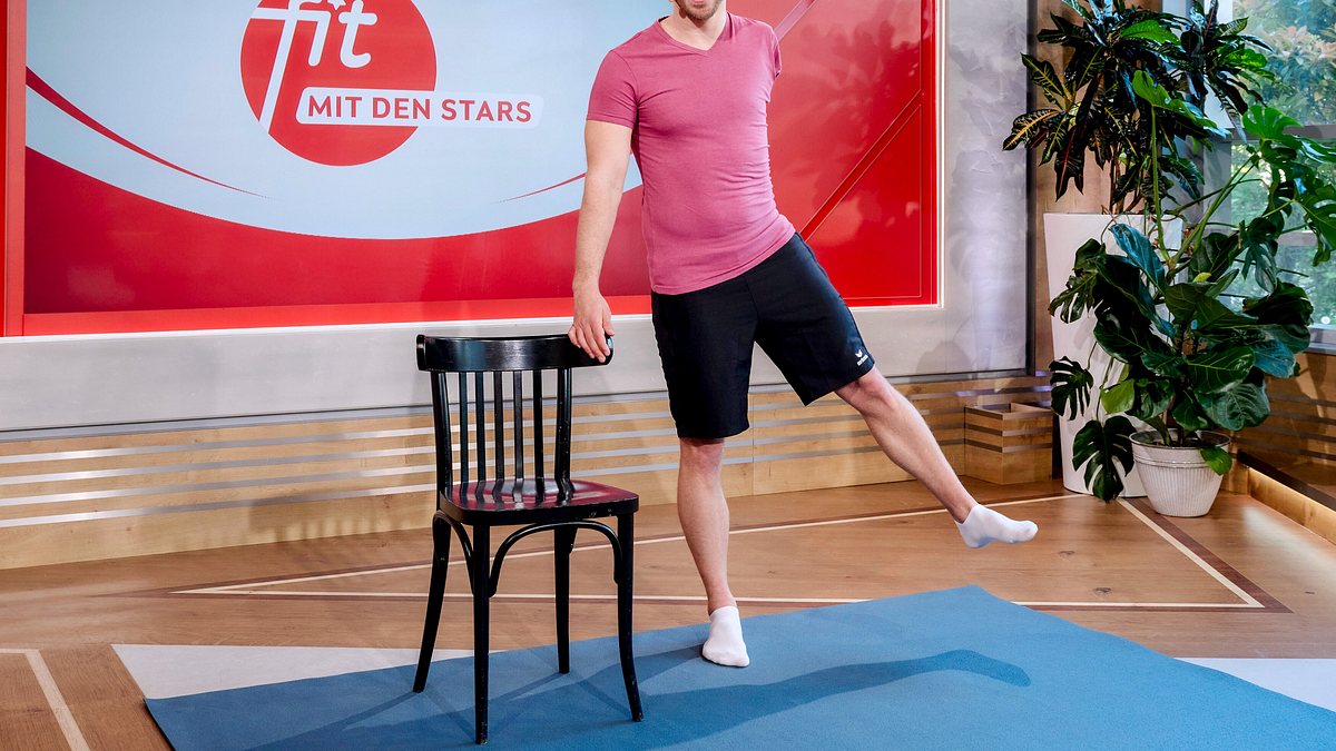 fit mit den stars