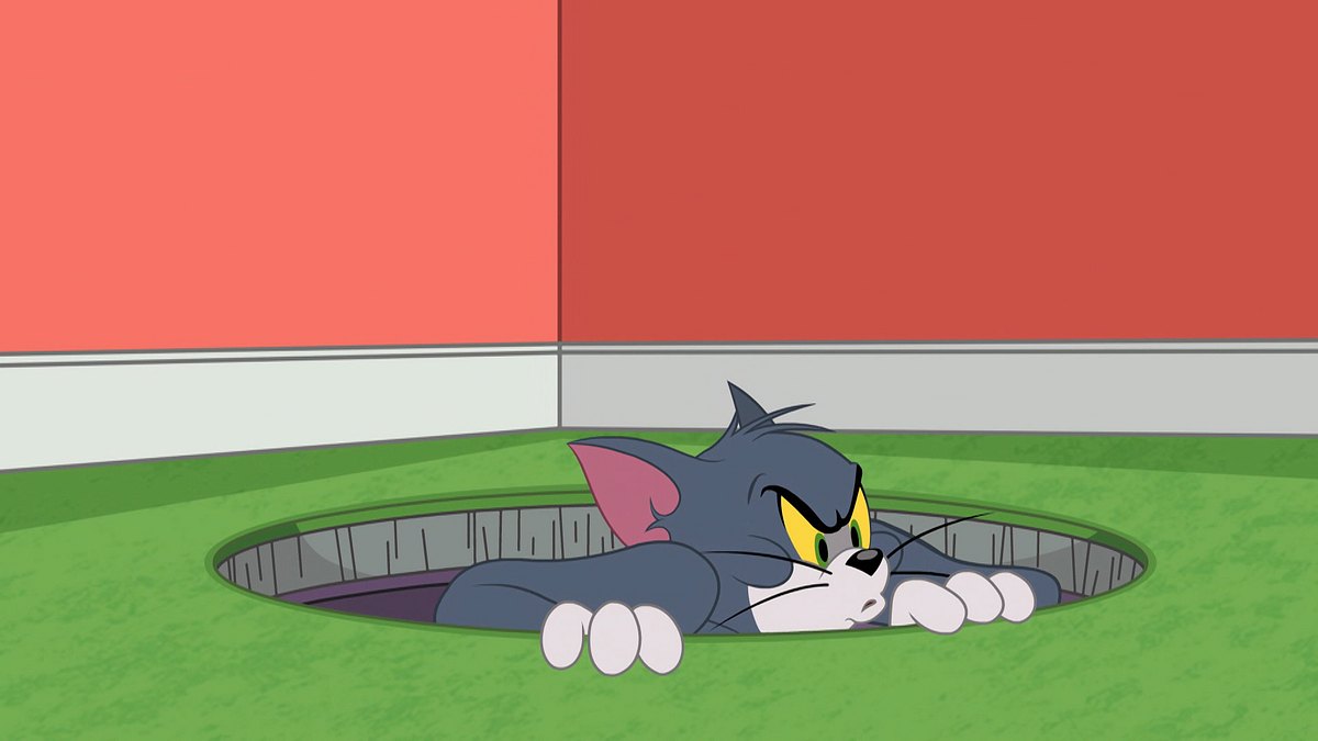 Die Tom und Jerry Show die tom und jerry show