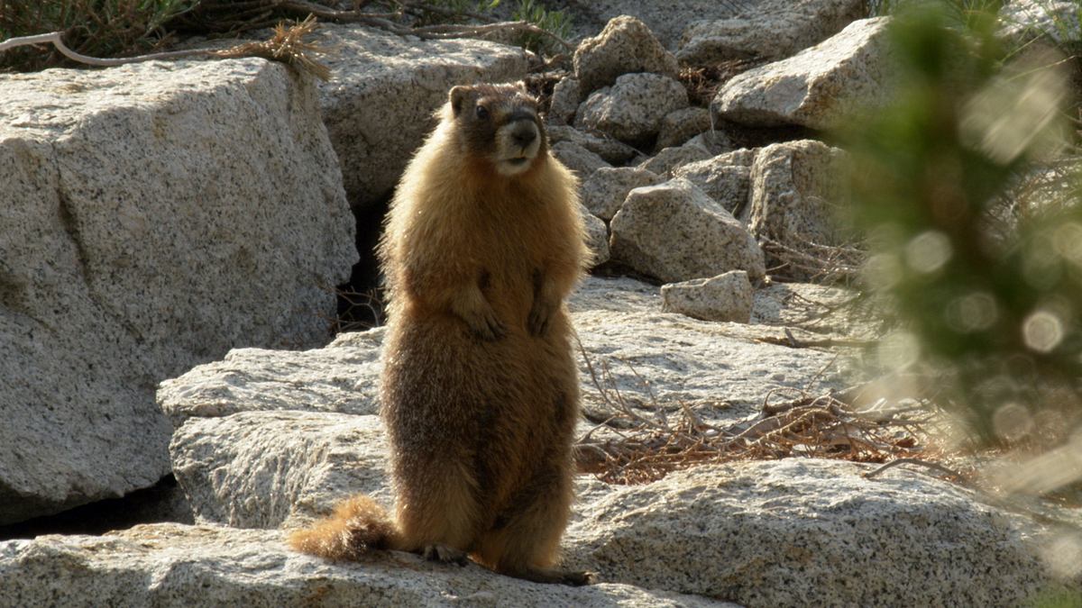amerikas nationalparks