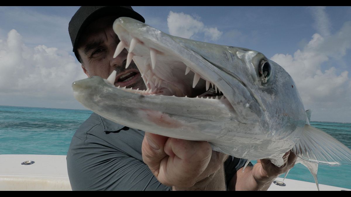 Chasing Monsters - Monsterfischen auf der Spur chasing monsters - monsterfischen auf der spur