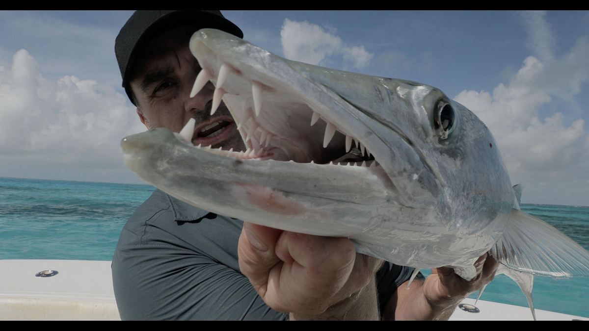 chasing monsters - monsterfischen auf der spur