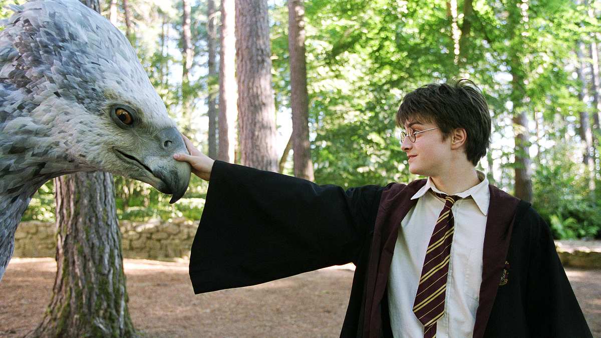 harry potter und der gefangene von askaban