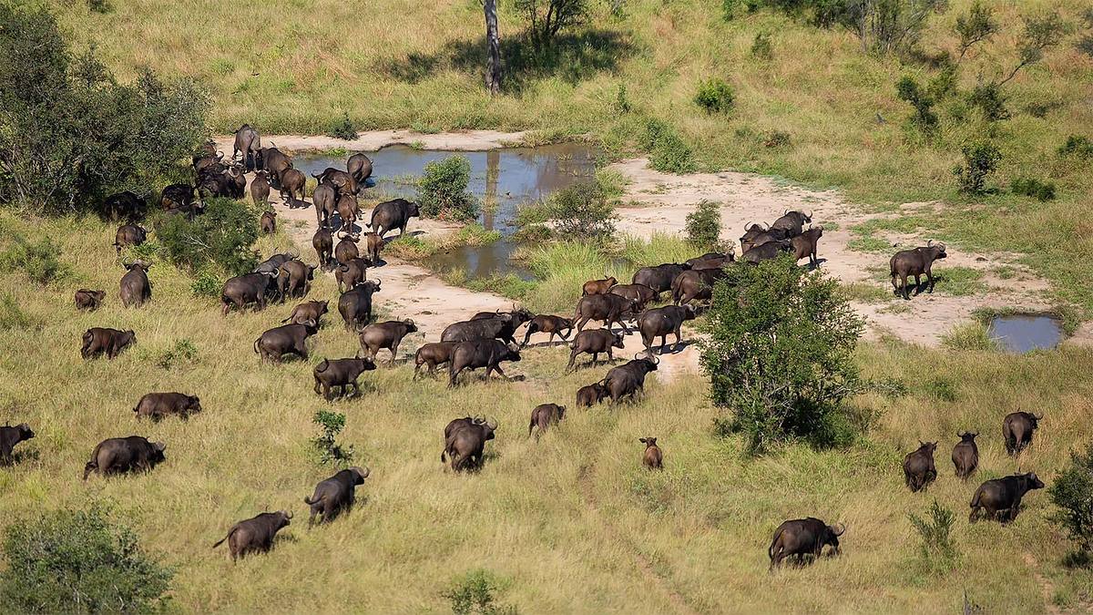 extreme airport africa