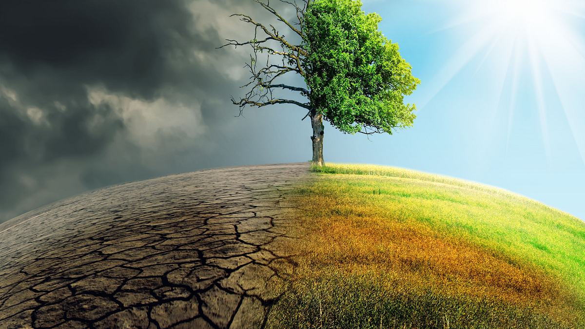 klimawandel und vogel-strauß-taktik - wie wir uns selbst betrügen