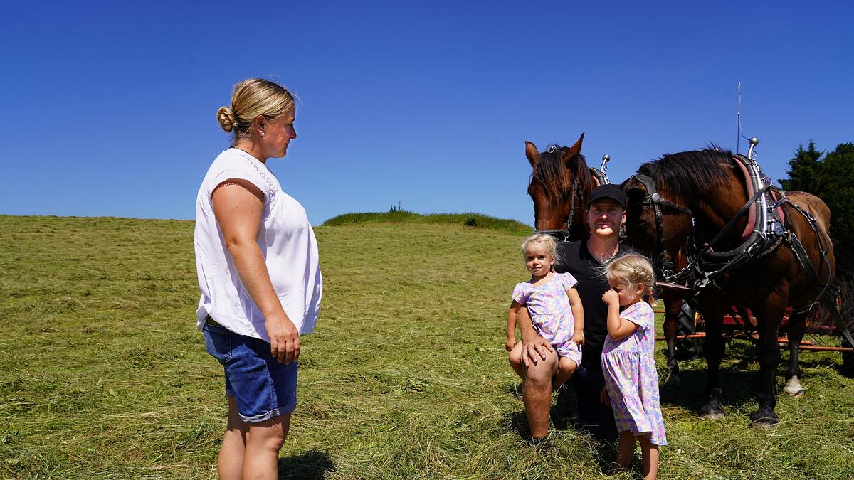 lust aufs land - bayerische hofgeschichten