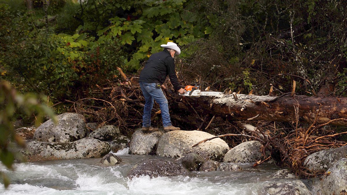 home rescue - wohnen in der wildnis