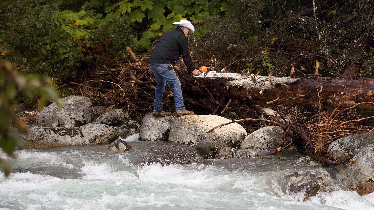 home rescue - wohnen in der wildnis