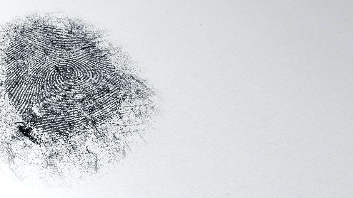 cold case files