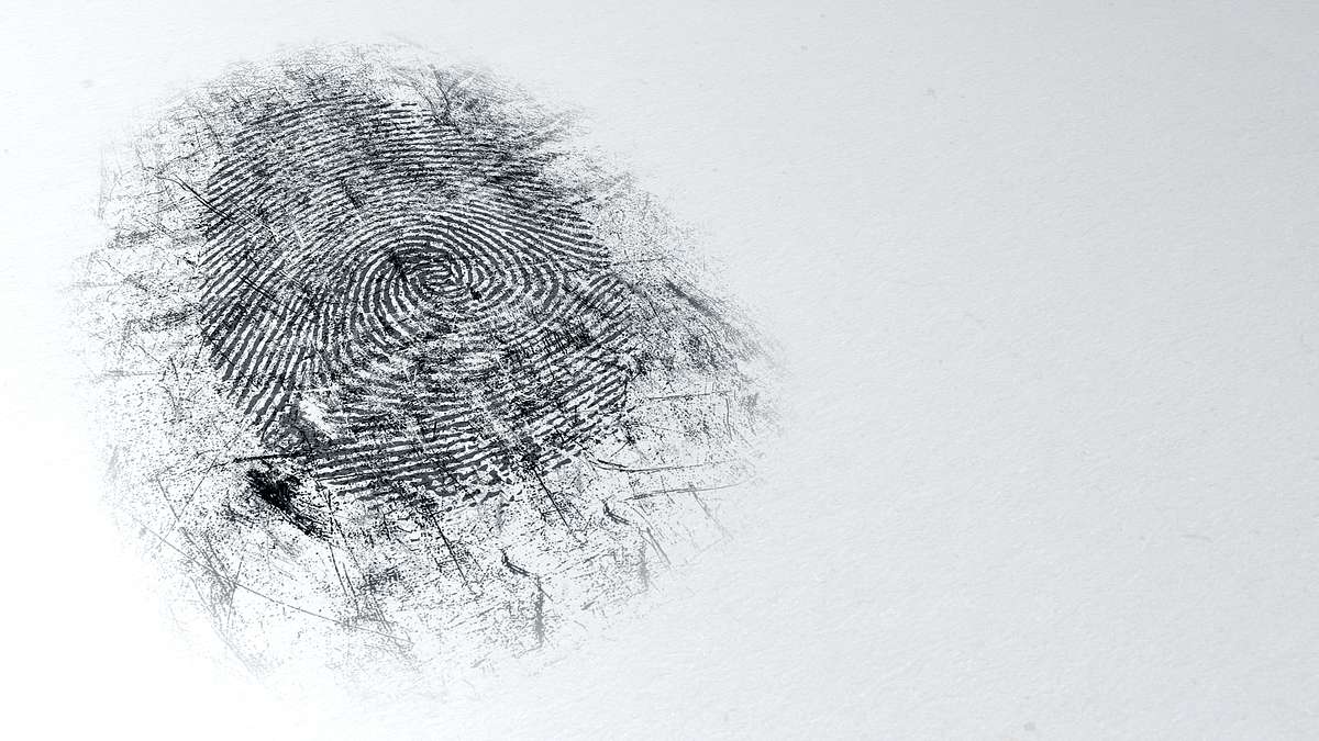 cold case files