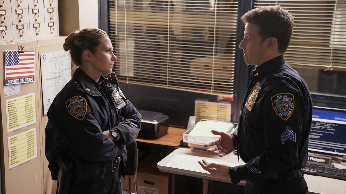 blue bloods - crime scene new york