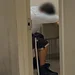 Airport Security Thumbnail