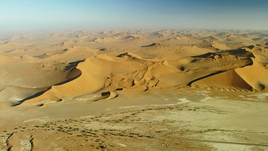 Afrikas tödlichste Jäger afrikas tödlichste jäger