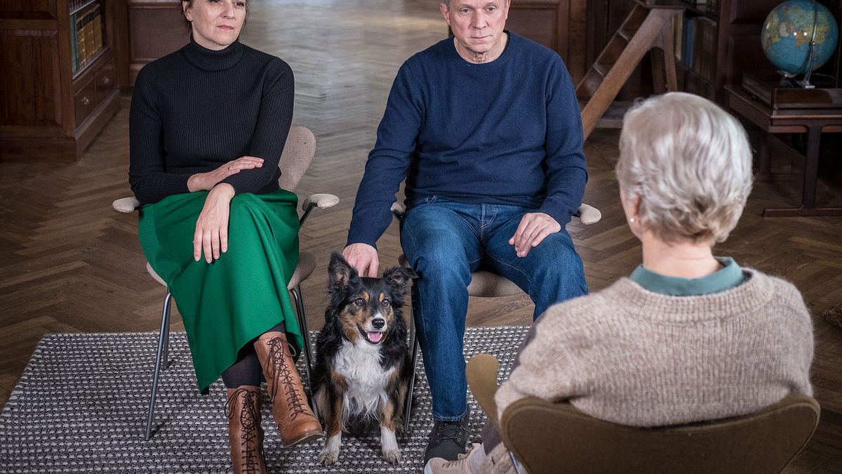 und wer nimmt den hund?