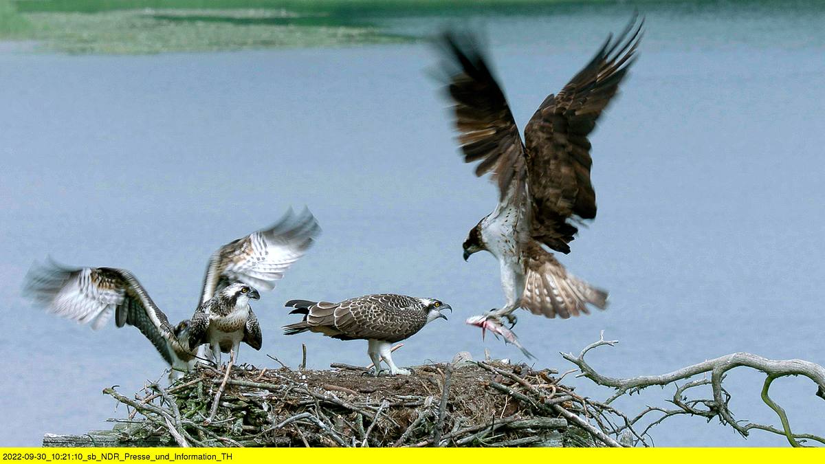 abenteuer wildnis