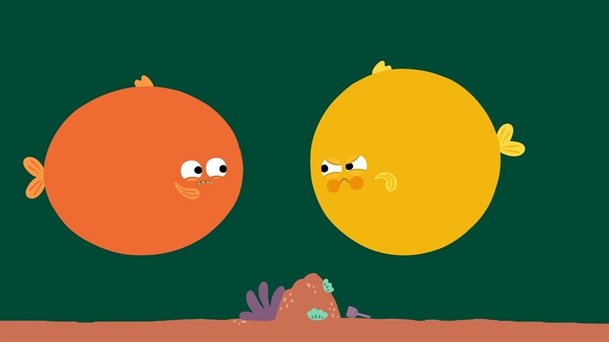 animanimals