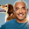 Cesar Millan: Guter Mensch, guter Hund Thumbnail