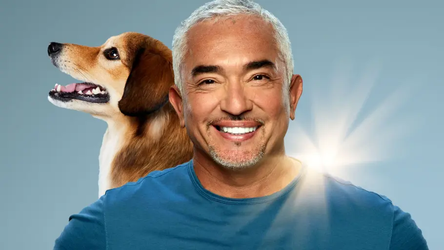 Cesar Millan: Guter Mensch, guter Hund