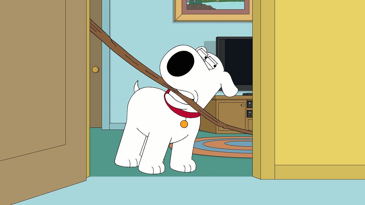 family guy