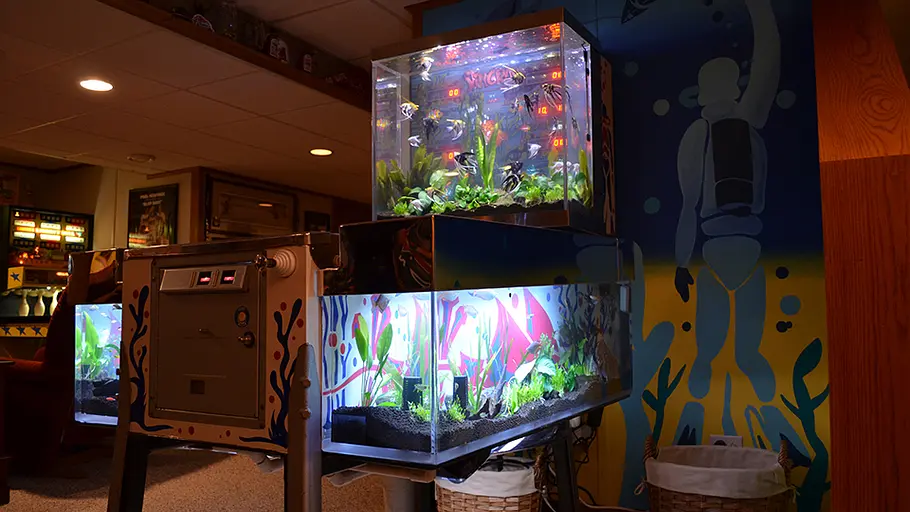 Die Aquarium-Profis die aquarium-profis
