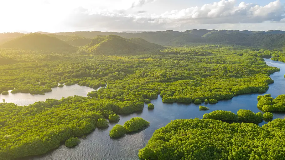 Die Transamazônica zwischen Himmel und Erde die transamazônica zwischen himmel und erde