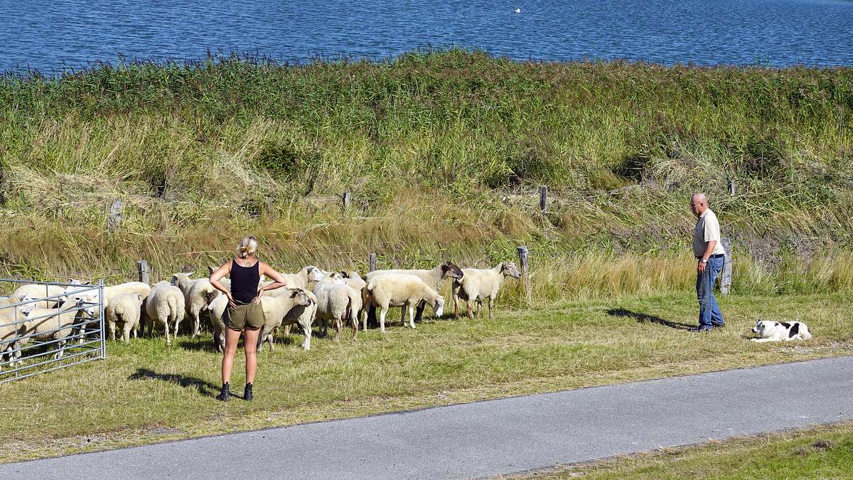 sylt - deutschlands edles nordlicht