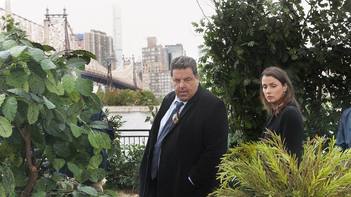 blue bloods - crime scene new york
