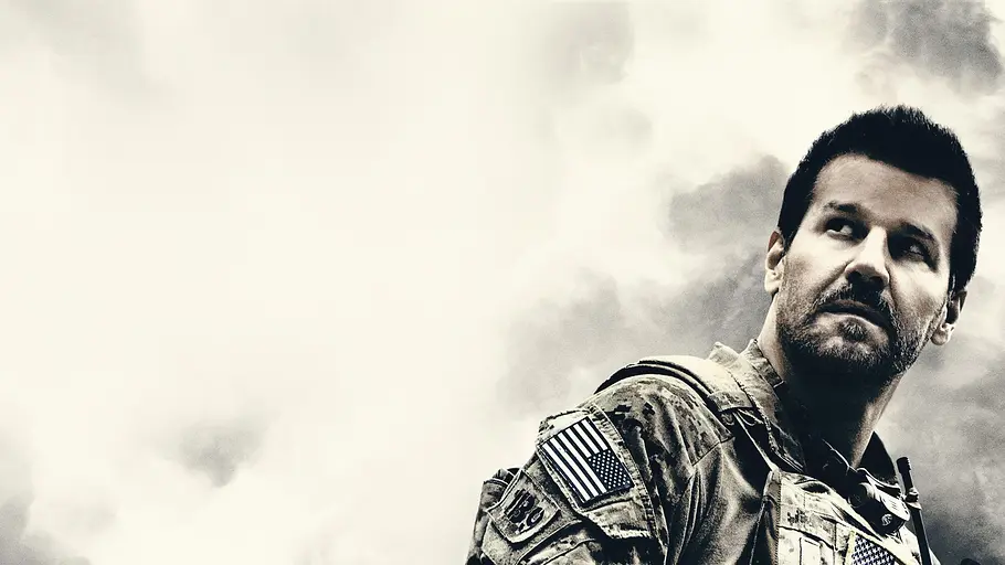 Seal Team seal team