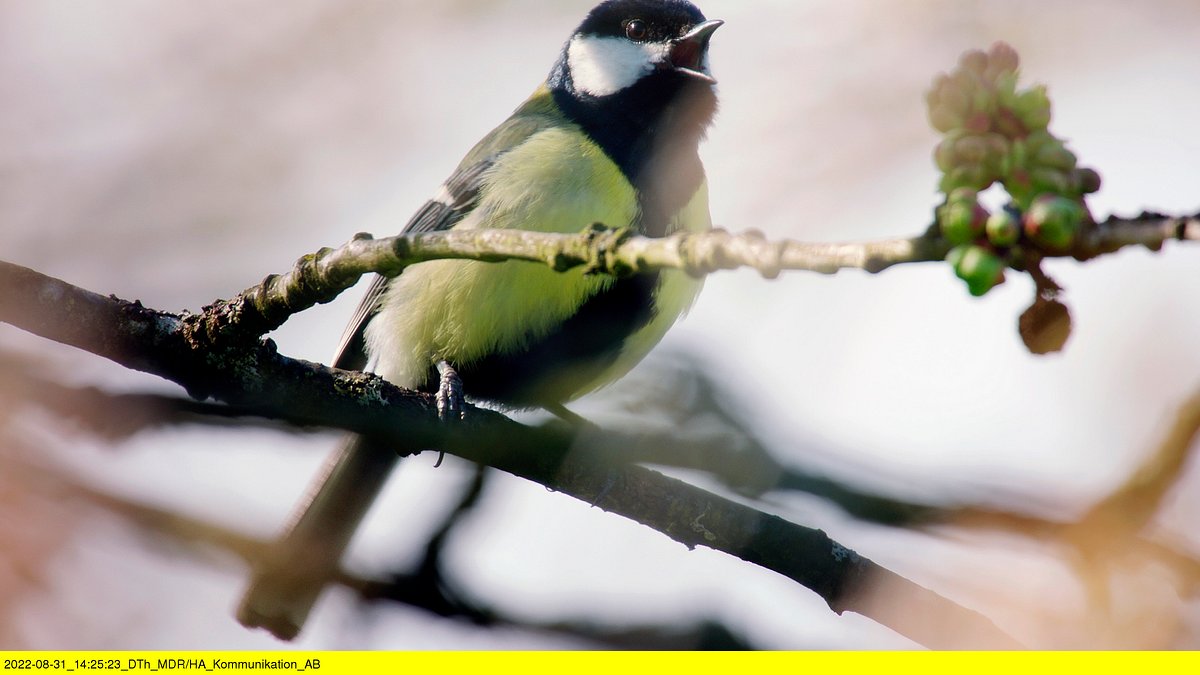 abenteuer wildnis