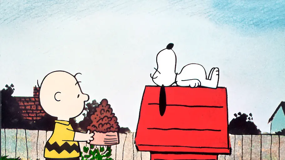 ein junge namens charlie brown
