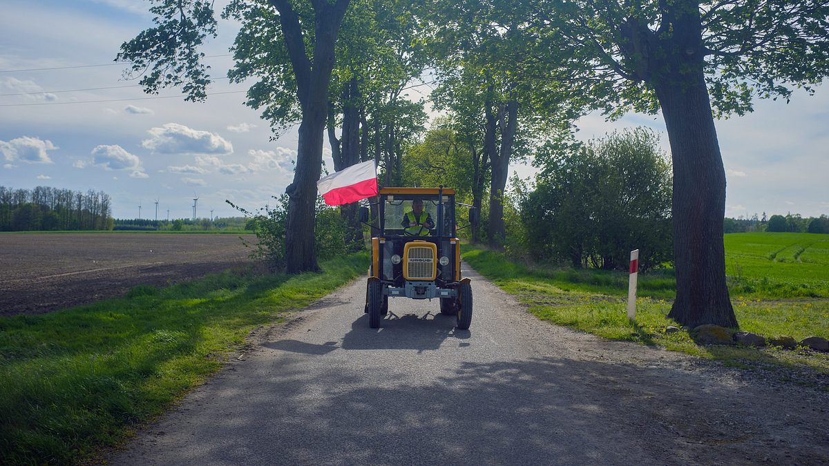 polens rückkehr zur demokratie